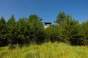 39794 259th Ave, Menahga, MN 56464 - Photo 57