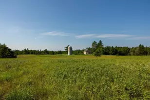 39794 259th Ave, Menahga, MN 56464 - Photo 53
