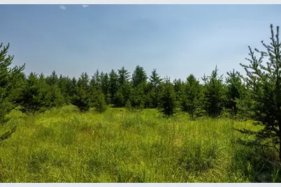 39794 259th Avenue, Menahga, MN 56464 - Photo 79