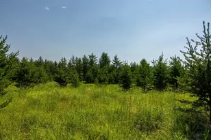 39794 259th Ave, Menahga, MN 56464 - Photo 79