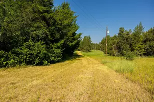 39794 259th Ave, Menahga, MN 56464 - Photo 43