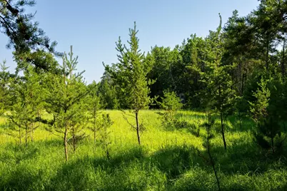 39794 259th Avenue, Menahga, MN 56464 - Photo 89