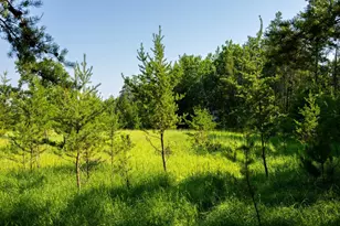 39794 259th Ave, Menahga, MN 56464 - Photo 89