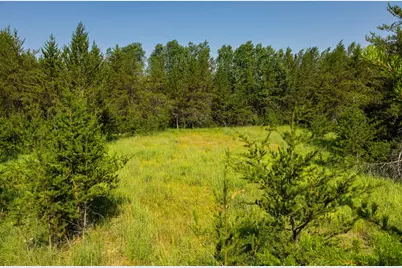 39794 259th Avenue, Menahga, MN 56464 - Photo 65