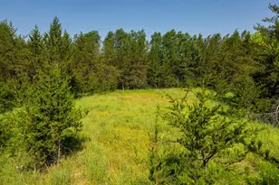 39794 259th Ave, Menahga, MN 56464 - Photo 65