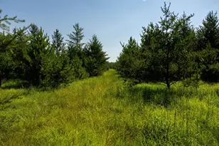 39794 259th Ave, Menahga, MN 56464 - Photo 75