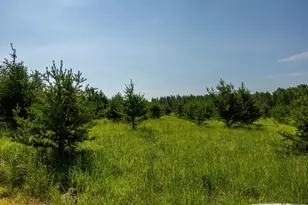 39794 259th Ave, Menahga, MN 56464 - Photo 81