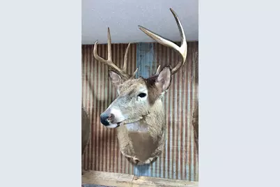 39794 259th Avenue, Menahga, MN 56464 - Photo 101