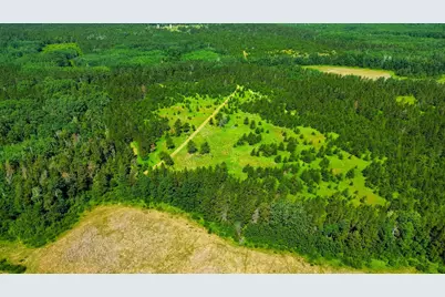39794 259th Avenue, Menahga, MN 56464 - Photo 9
