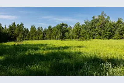 Tract 3 - Tbd 259th Ave, Menahga, MN 56464 - Photo 17