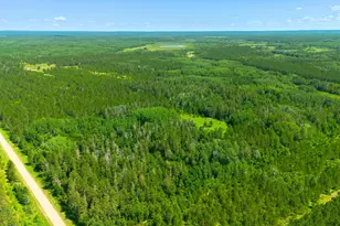 Tract 3 - Tbd 259th Ave, Menahga, MN 56464 - Photo 1