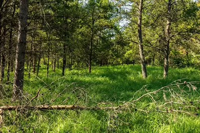 Tract 3 - Tbd 259th Ave, Menahga, MN 56464 - Photo 19