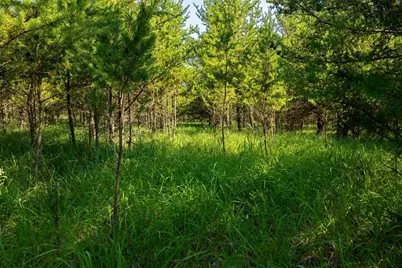 Tract 3 - Tbd 259th Ave, Menahga, MN 56464 - Photo 25
