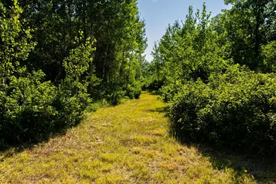 Tract 3 - Tbd 259th Ave, Menahga, MN 56464 - Photo 27