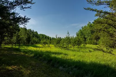 Tract 3 - Tbd 259th Ave, Menahga, MN 56464 - Photo 15