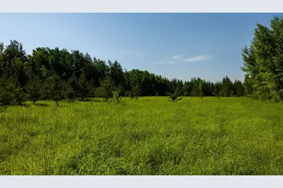 Tract 3 - Tbd 259th Ave, Menahga, MN 56464 - Photo 23