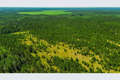 Tract 3 - Tbd 259th Ave, Menahga, MN 56464 - Photo 7