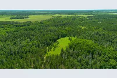 Tract 3 - Tbd 259th Ave, Menahga, MN 56464 - Photo 11