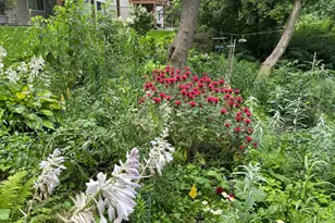 15595 Cherry Path, Rosemount, MN 55068 - Photo 69