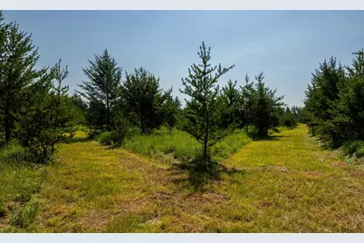 Tract 1 - Tbd Hubbard Line Rd, Menahga, MN 56464 - Photo 31
