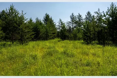 Tract 1 - Tbd Hubbard Line Rd, Menahga, MN 56464 - Photo 47