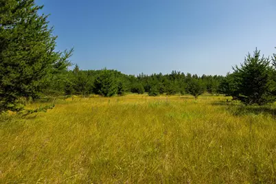 Tract 1 - Tbd Hubbard Line Rd, Menahga, MN 56464 - Photo 27