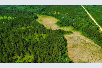 Tract 1 - Tbd Hubbard Line Rd, Menahga, MN 56464 - Photo 3