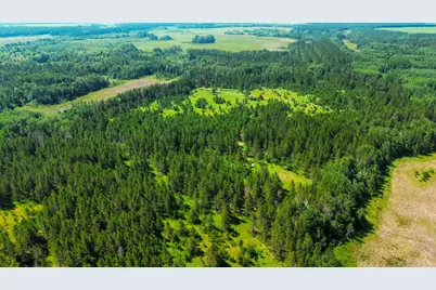 Tract 1 - Tbd Hubbard Line Rd, Menahga, MN 56464 - Photo 7
