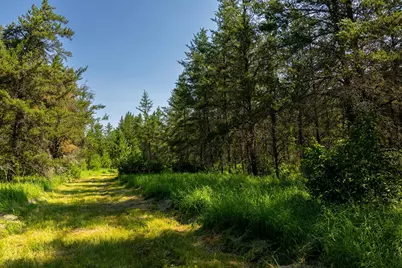 Tract 1 - Tbd Hubbard Line Rd, Menahga, MN 56464 - Photo 37