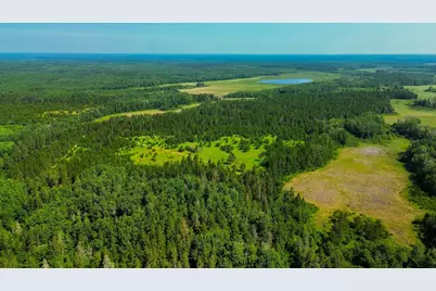 Tract 1 - Tbd Hubbard Line Rd, Menahga, MN 56464 - Photo 15