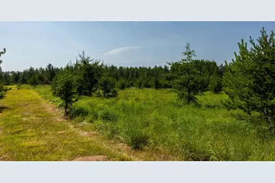 Tract 1 - Tbd Hubbard Line Rd, Menahga, MN 56464 - Photo 35