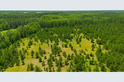 Tract 1 - Tbd Hubbard Line Rd, Menahga, MN 56464 - Photo 23