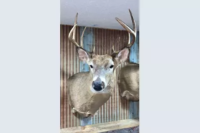 Tract 1 - Tbd Hubbard Line Rd, Menahga, MN 56464 - Photo 55