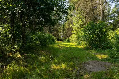 Tract 1 - Tbd Hubbard Line Rd, Menahga, MN 56464 - Photo 43
