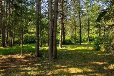 Tract 1 - Tbd Hubbard Line Rd, Menahga, MN 56464 - Photo 41