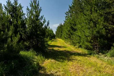 Tract 1 - Tbd Hubbard Line Rd, Menahga, MN 56464 - Photo 25