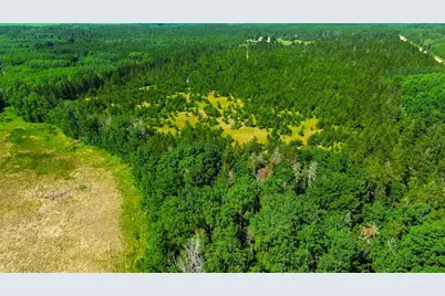 Tract 1 - Tbd Hubbard Line Rd, Menahga, MN 56464 - Photo 5