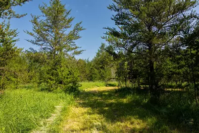Tract 1 - Tbd Hubbard Line Rd, Menahga, MN 56464 - Photo 33