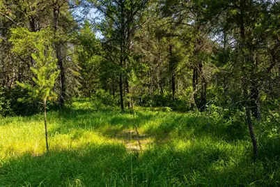 Tract 1 - Tbd Hubbard Line Rd, Menahga, MN 56464 - Photo 29