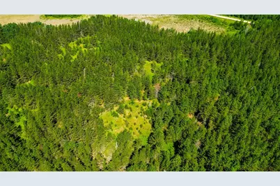 Tract 1 - Tbd Hubbard Line Rd, Menahga, MN 56464 - Photo 9