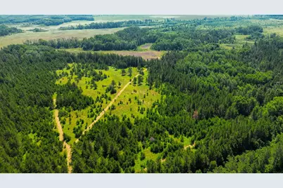 Tract 1 - Tbd Hubbard Line Rd, Menahga, MN 56464 - Photo 21