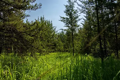 Tract 1 - Tbd Hubbard Line Rd, Menahga, MN 56464 - Photo 49