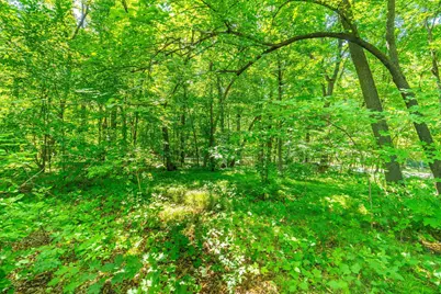 44077 E Spirit Drive, Vergas, MN 56587 - Photo 45