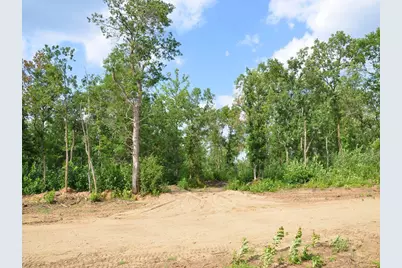 Xxx Firewood Trail, Park Rapids, MN 56470 - Photo 5