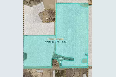Tbd 487th Avenue, Perham, MN 56573 - Photo 5
