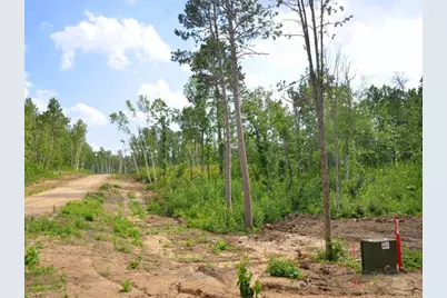 Xyz Firewood Trail, Park Rapids, MN 56470 - Photo 5