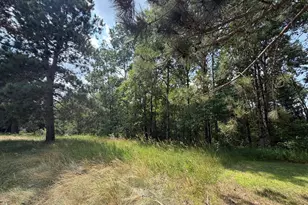 6845 Dickinson Dr NW, Bemidji, MN 56601 - Photo 47