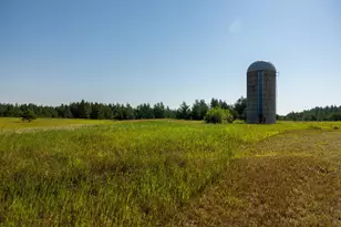 Tract 2 - 39794 259th Ave, Menahga, MN 56464 - Photo 23
