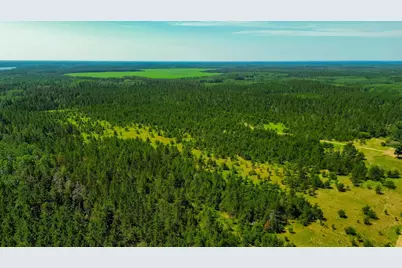 Tract 2 - 39794 259th Ave, Menahga, MN 56464 - Photo 11