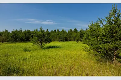 Tract 2 - 39794 259th Ave, Menahga, MN 56464 - Photo 31